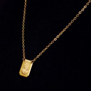 Escapulário Masculino Banhado a Ouro 18K